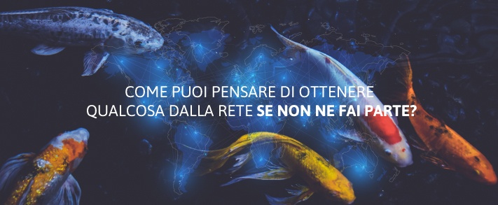 come puoi pensare di ottenere qualcosa dalla rete se non ne fai parte?